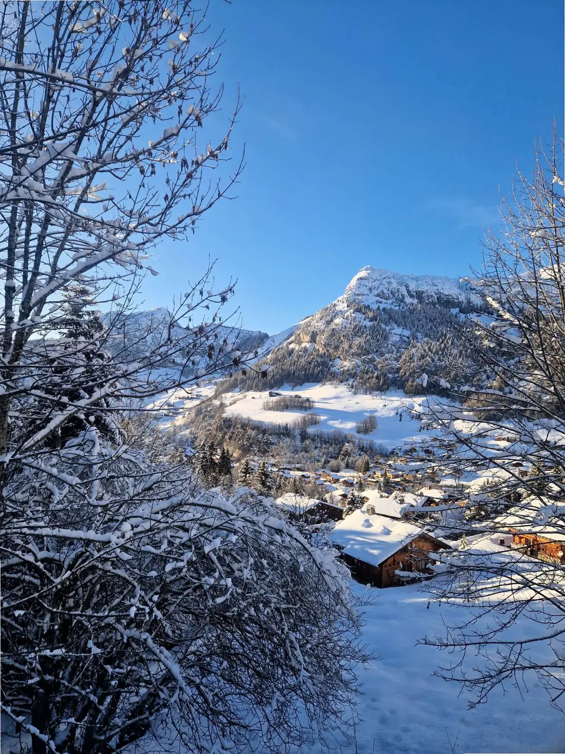 Chalet Les Amethystes