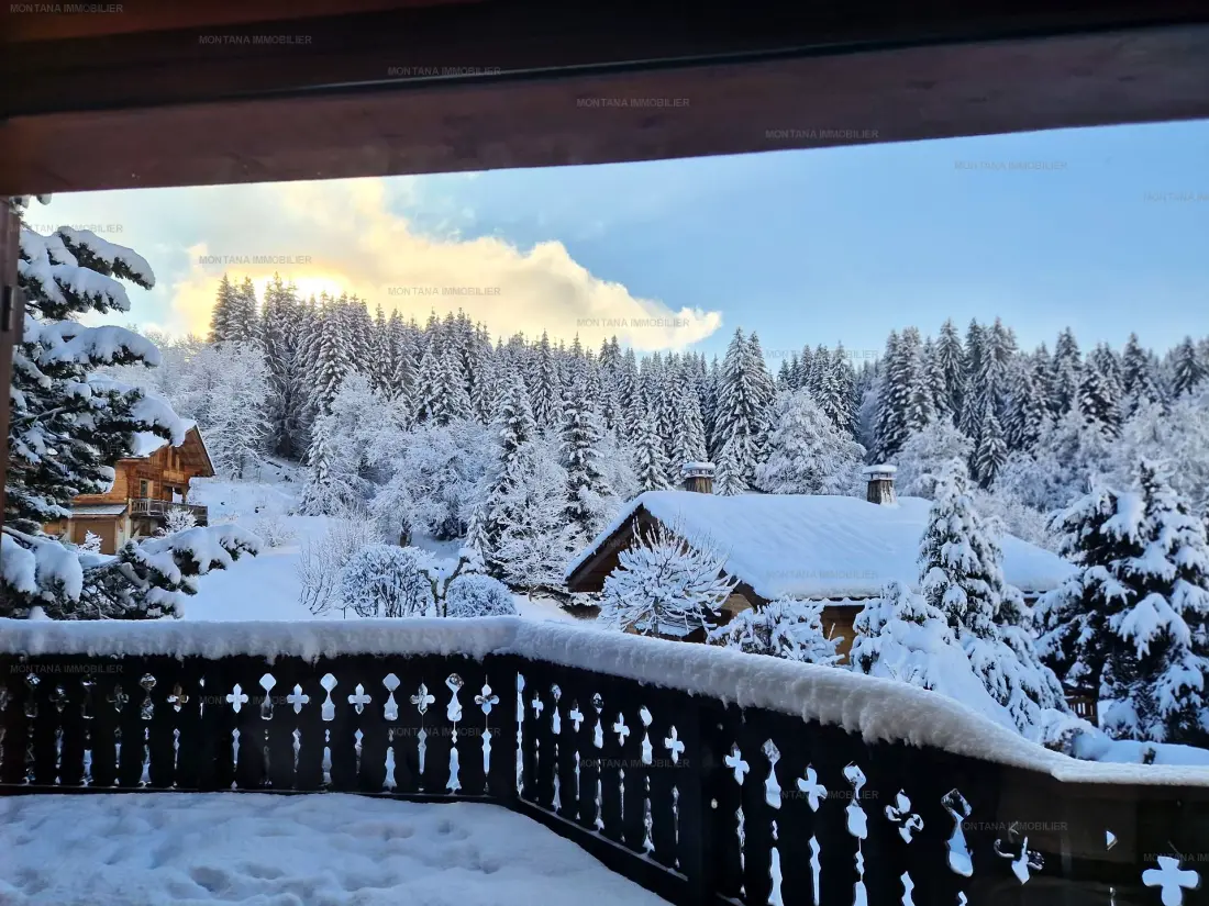 Chalet Les Amethystes