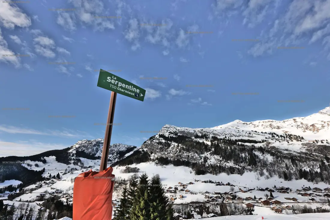 Chalet Les Amethystes