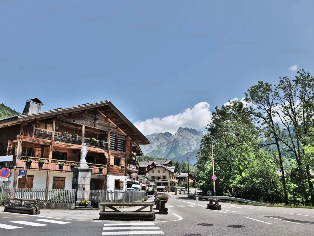Location de Vacances Le Grand-Bornand 206