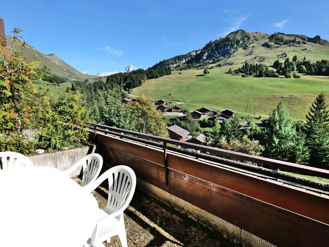 Location de Vacances Le Grand-Bornand 210