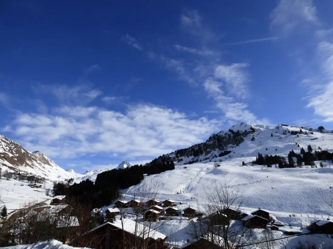 Location de Vacances Le Grand-Bornand 210