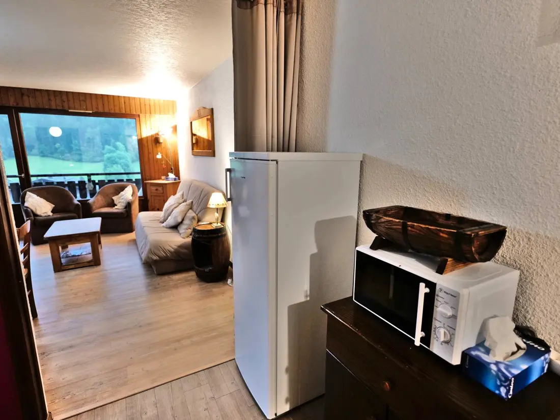 Location de Vacances Le Grand-Bornand 211