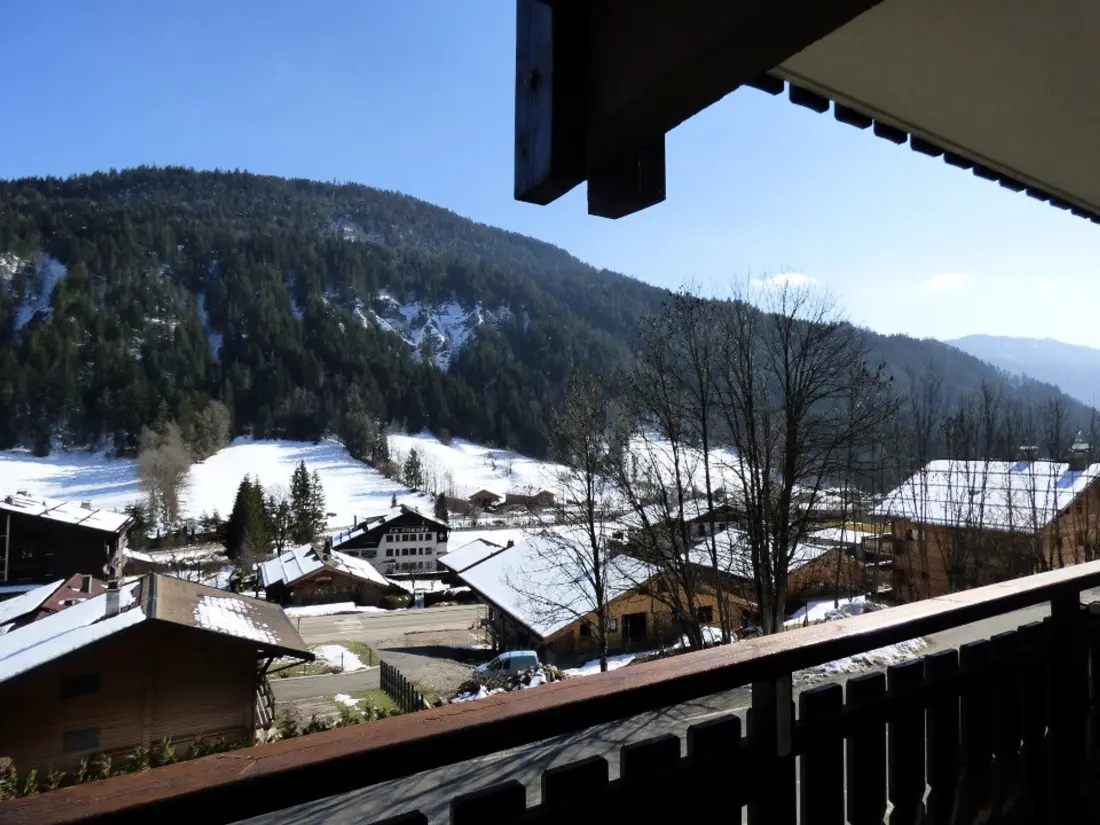 Location de Vacances Le Grand-Bornand 211