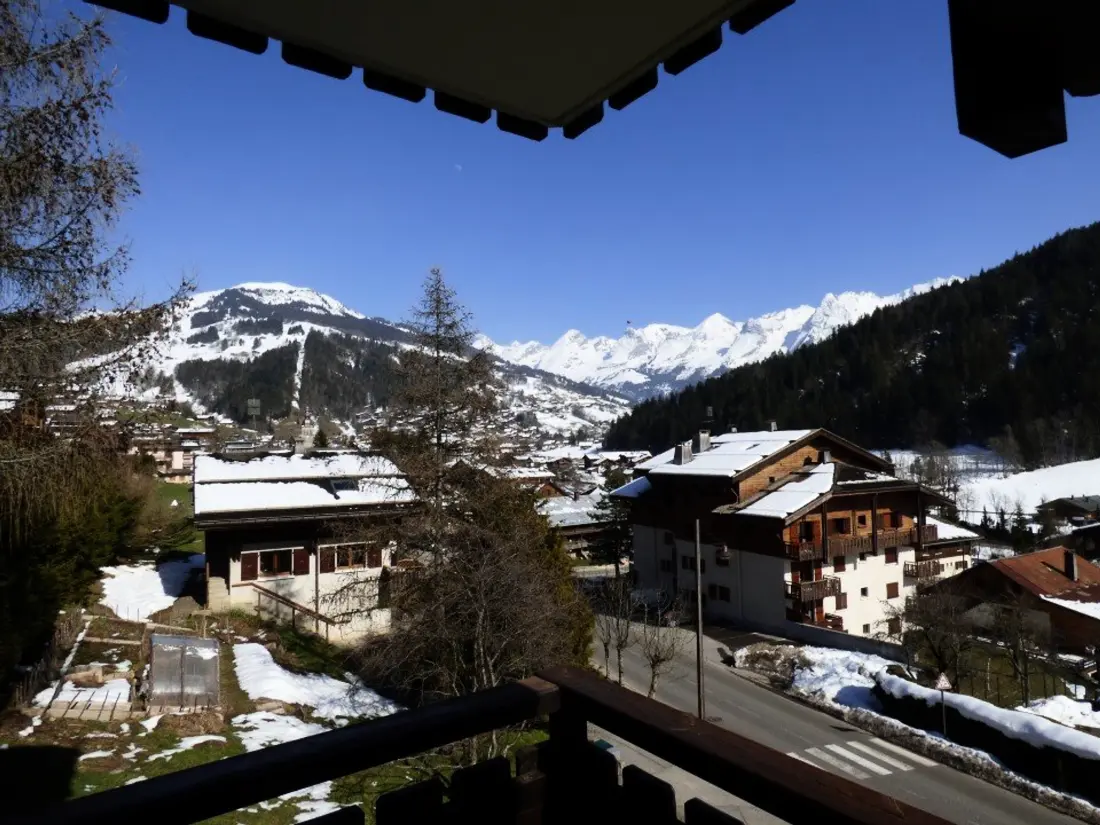 Location de Vacances Le Grand-Bornand 211