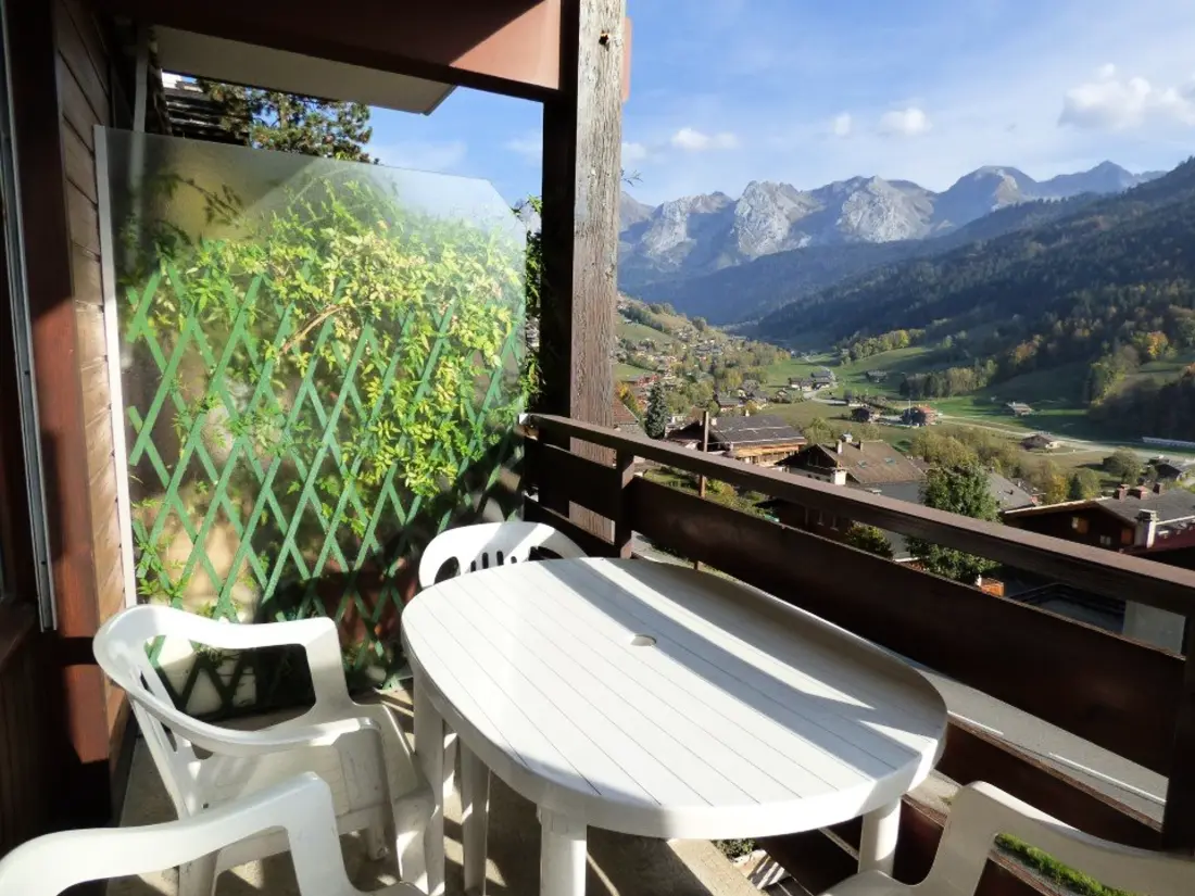 Location de Vacances Le Grand-Bornand 213