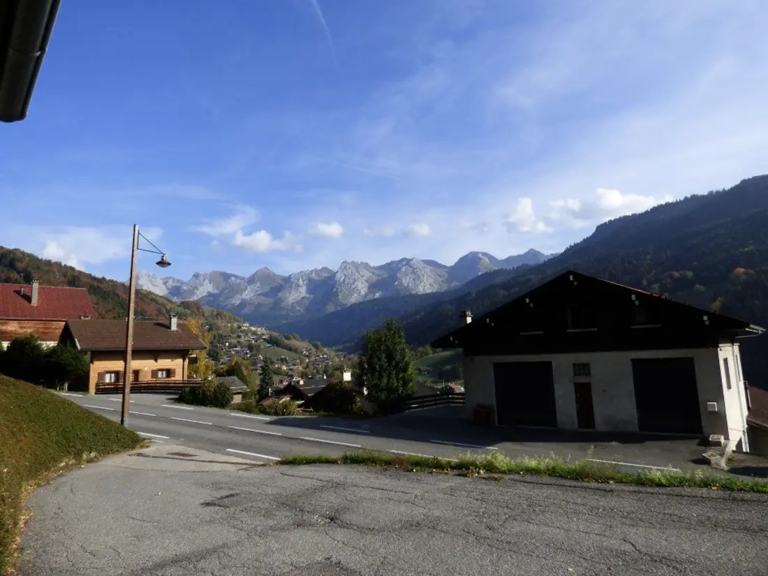 Location de Vacances Le Grand-Bornand 213