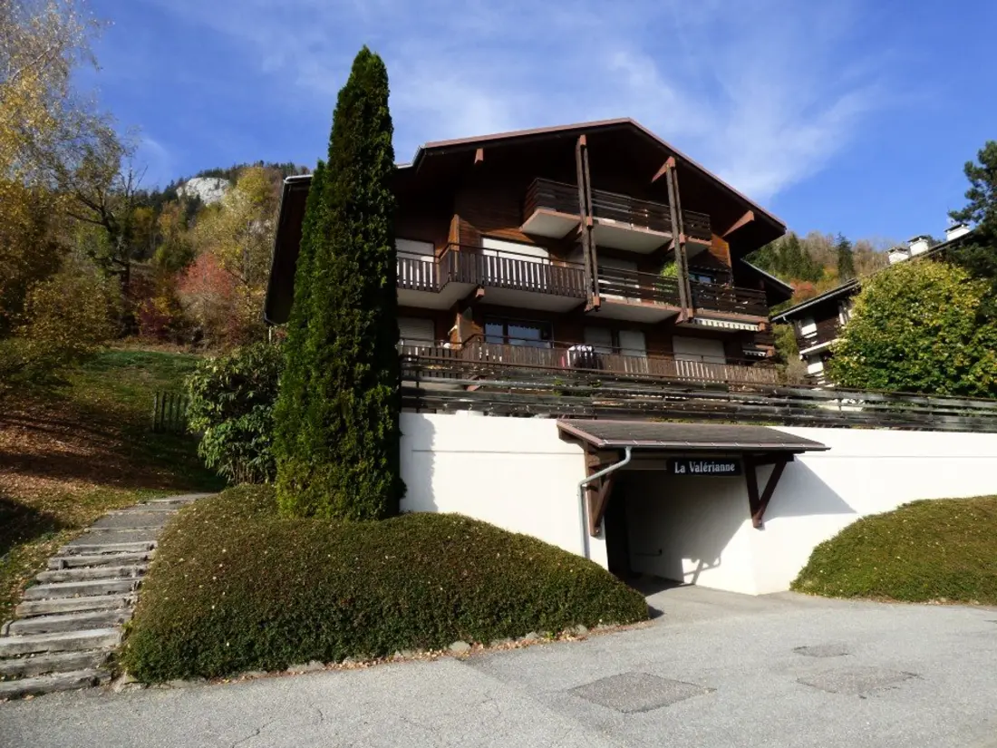 Location de Vacances Le Grand-Bornand 213