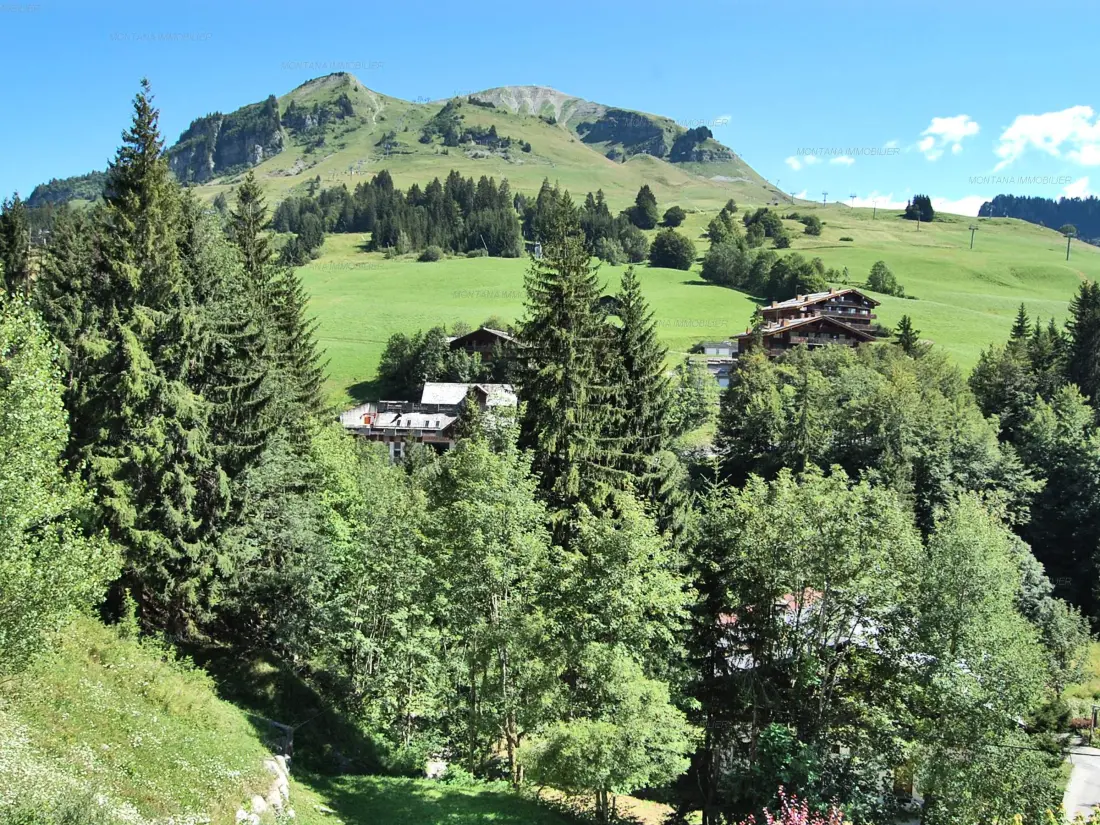 Location de Vacances Le Grand-Bornand 216
