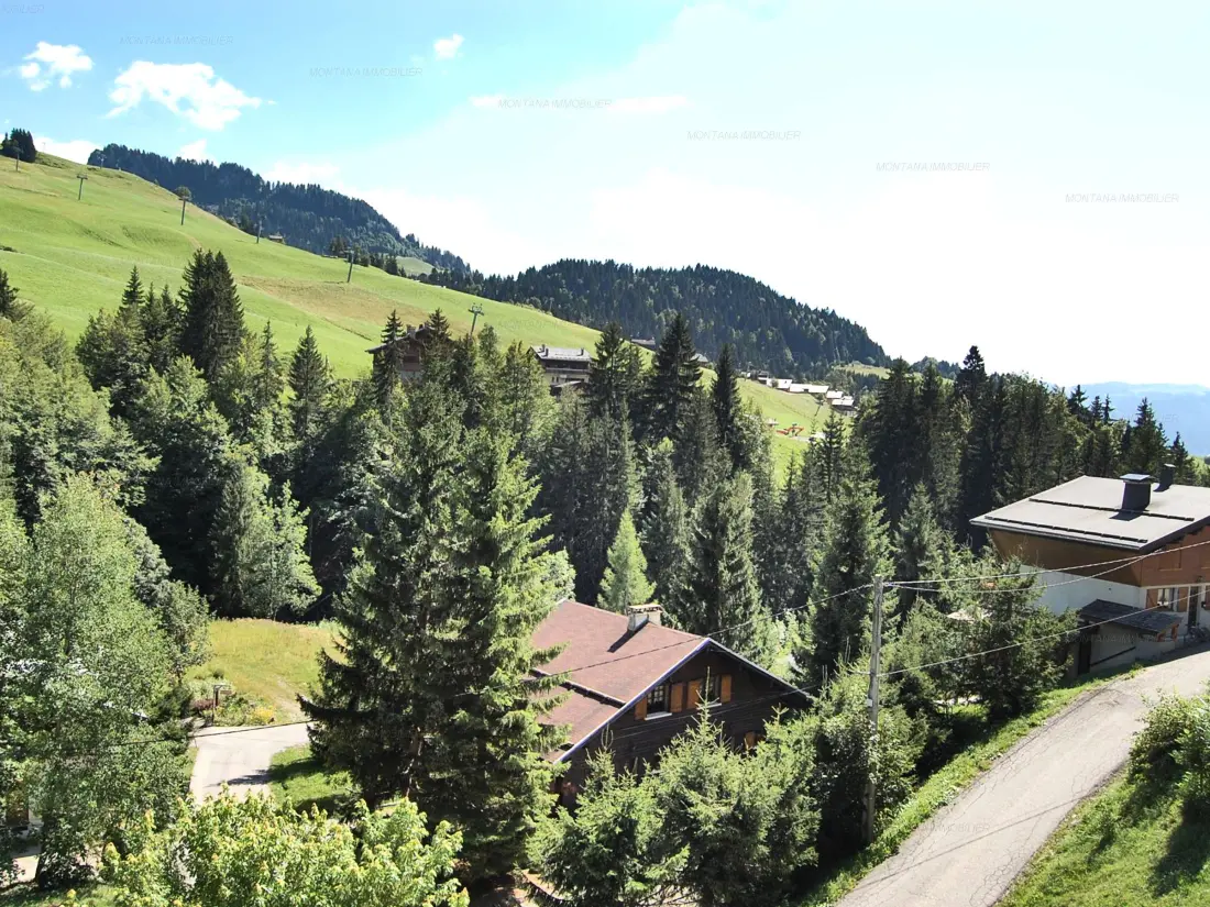 Location de Vacances Le Grand-Bornand 216
