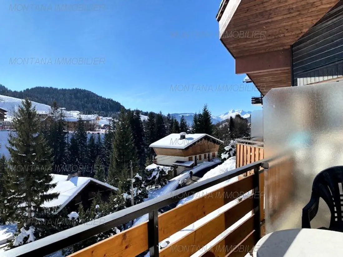 Location de Vacances Le Grand-Bornand 216