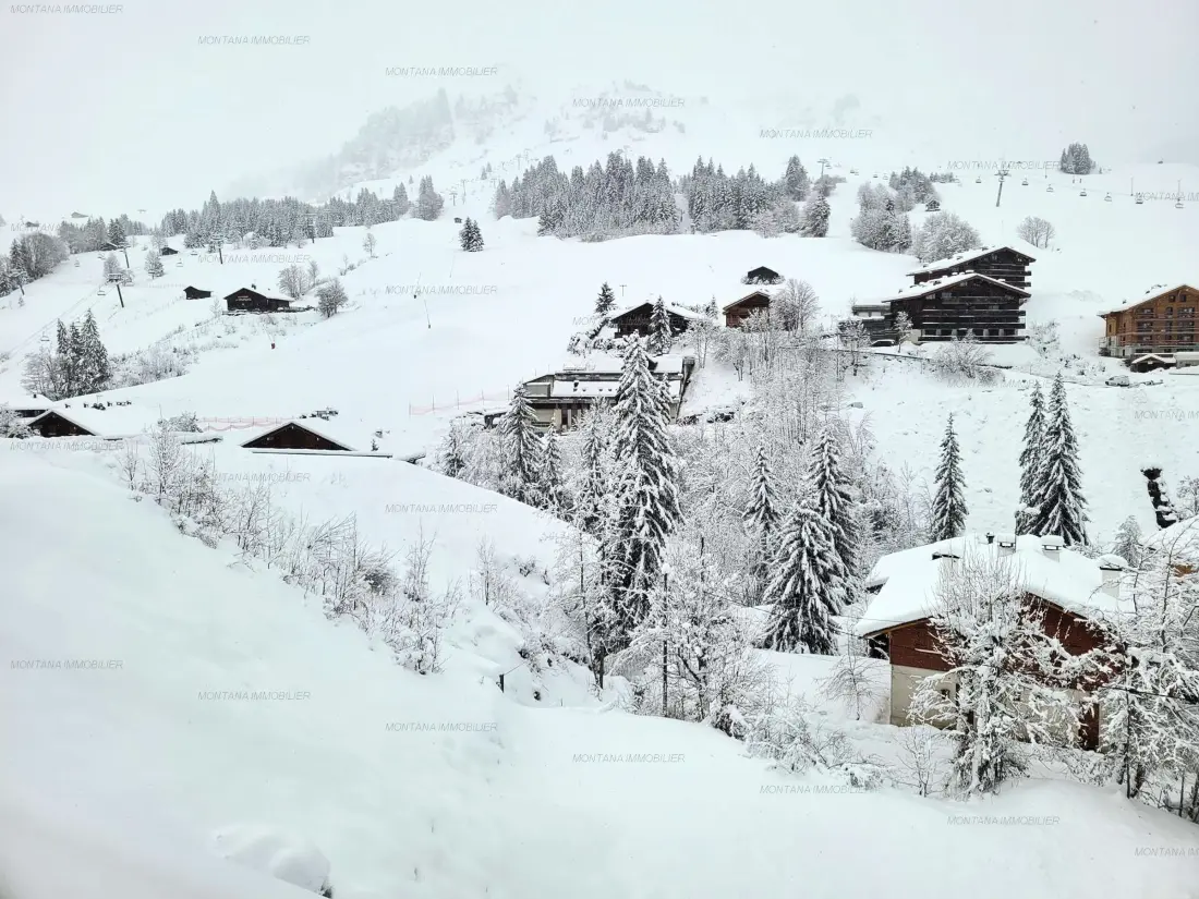 Location de Vacances Le Grand-Bornand 216