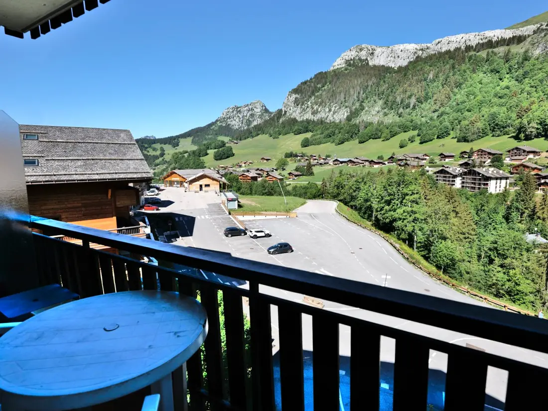 Location de Vacances Le Grand-Bornand 224