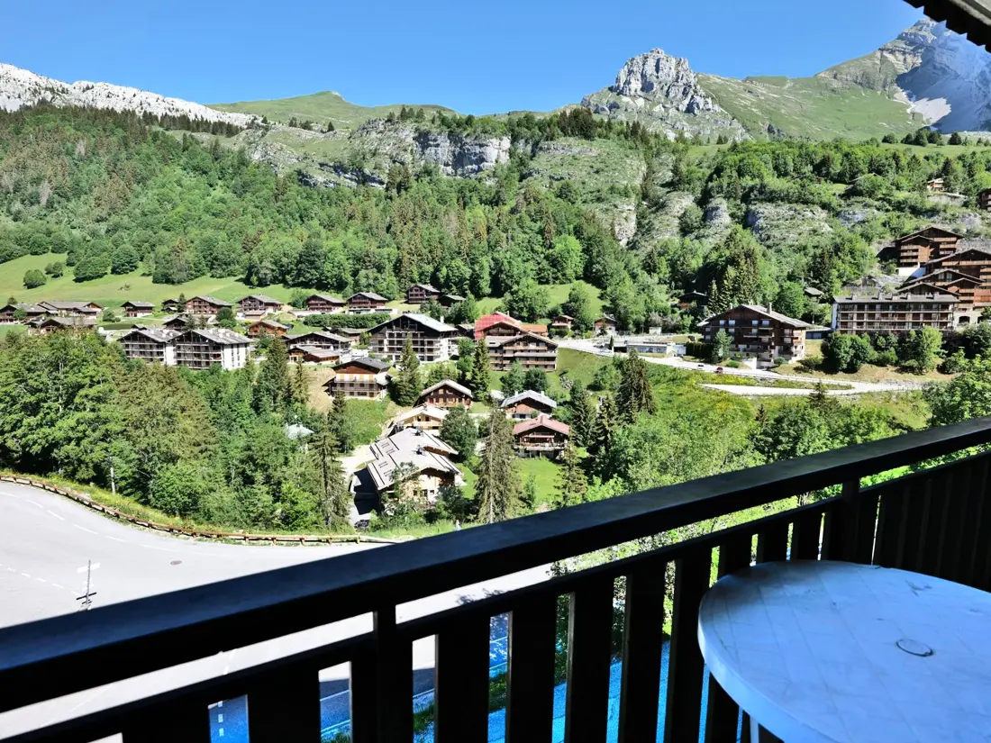 Location de Vacances Le Grand-Bornand 224
