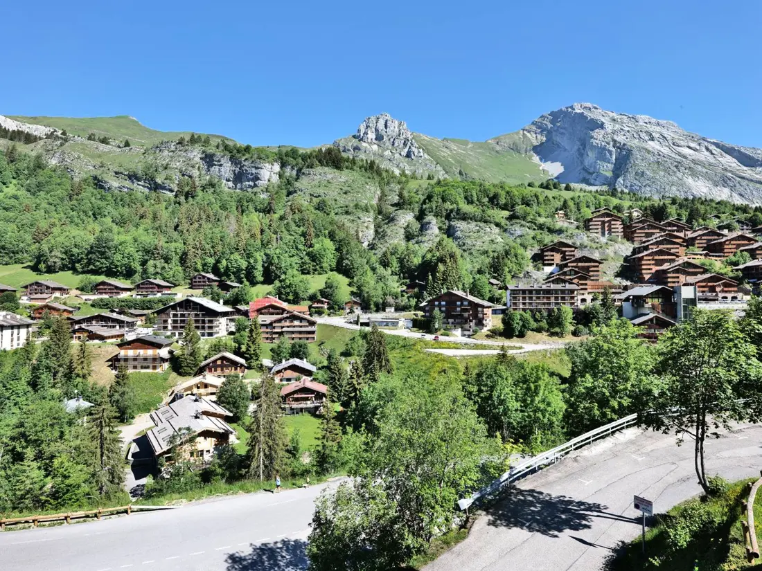 Location de Vacances Le Grand-Bornand 224