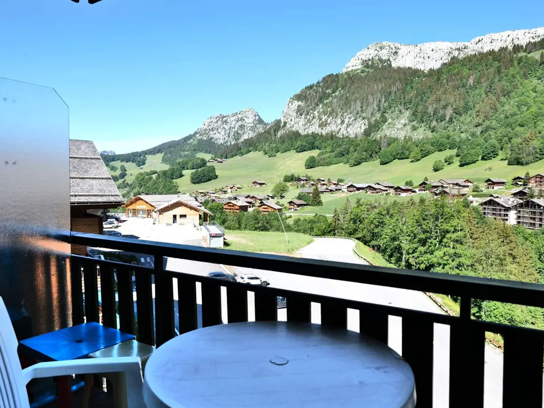 Location de Vacances Le Grand-Bornand 224