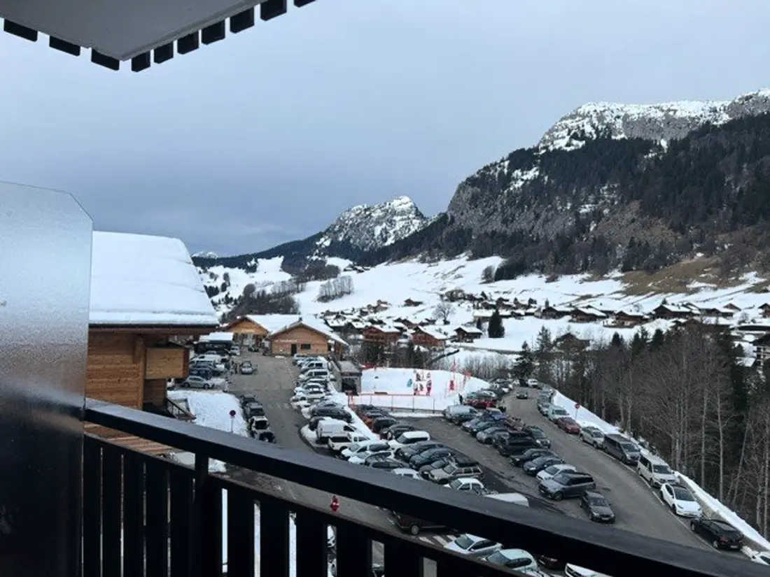 Location de Vacances Le Grand-Bornand 224