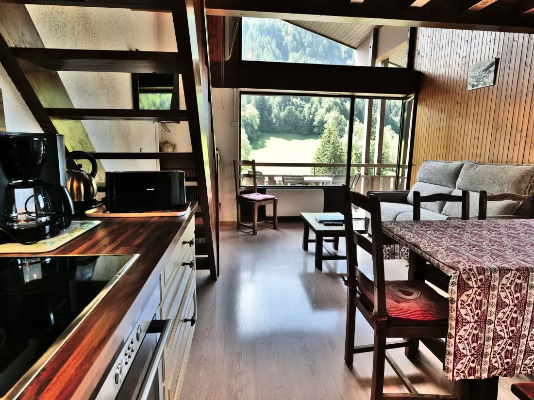 Location de Vacances Le Grand-Bornand 225