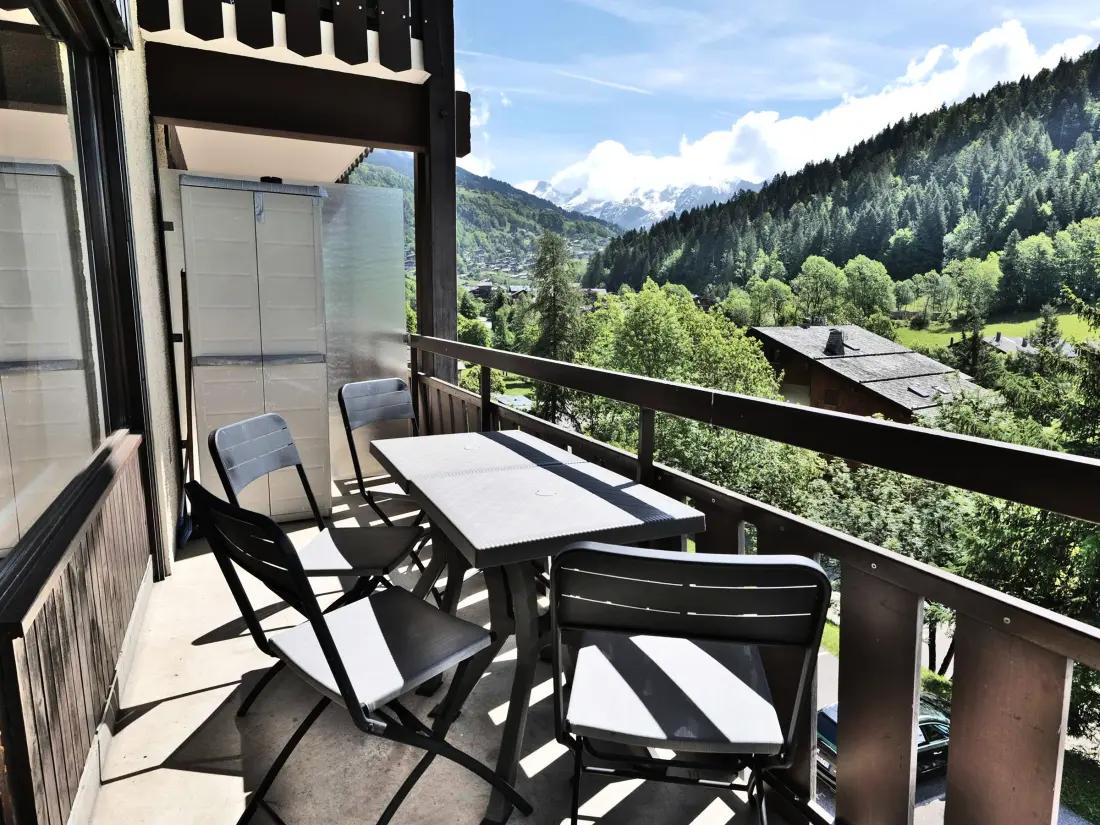 Location de Vacances Le Grand-Bornand 225