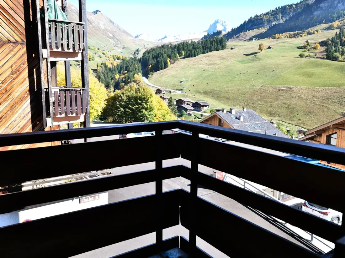 Location de Vacances Le Grand-Bornand 226