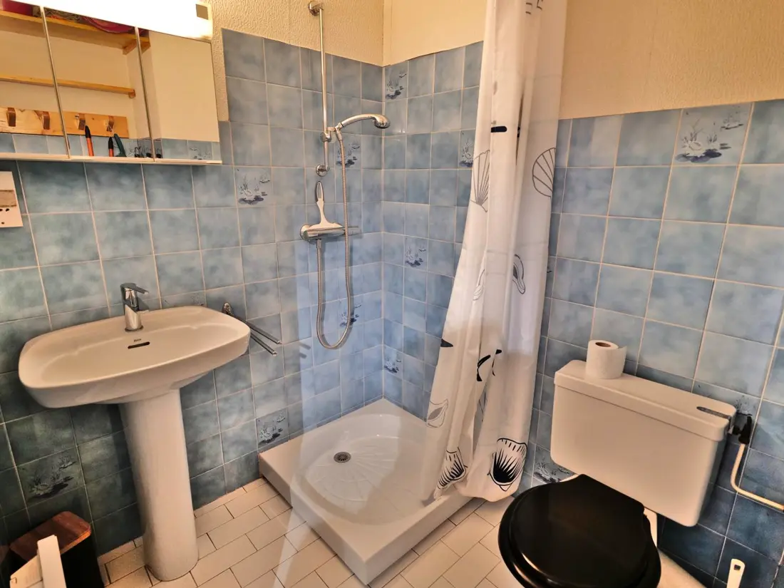 Location de Vacances Le Grand-Bornand 226