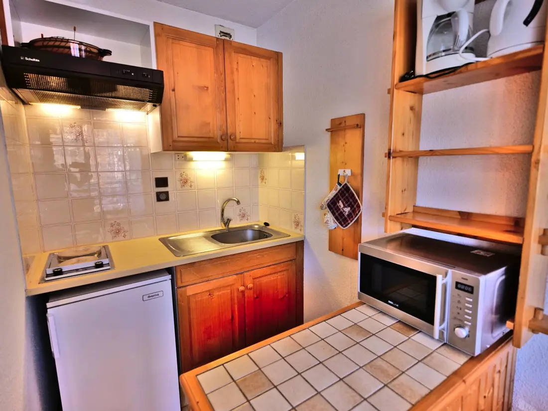 Location de Vacances Le Grand-Bornand 226