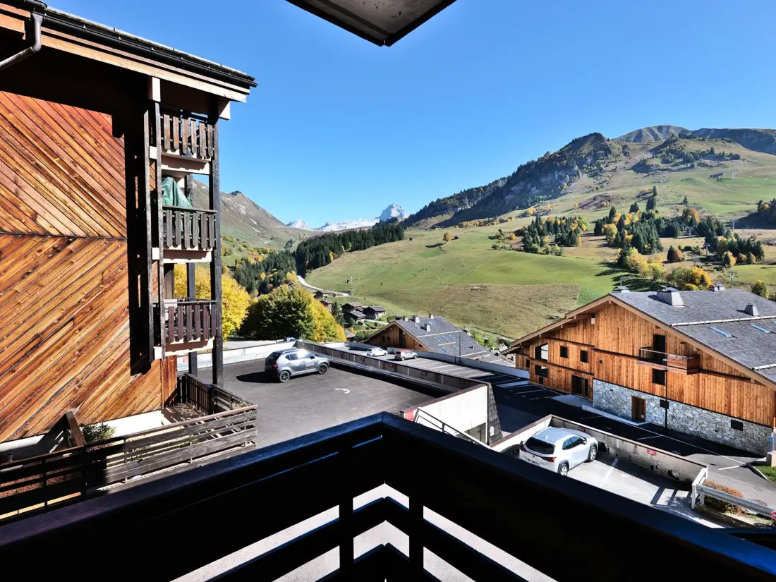 Location de Vacances Le Grand-Bornand 226