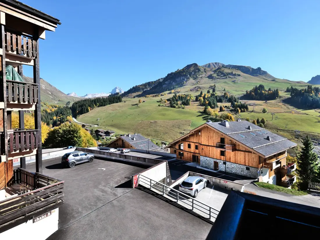 Location de Vacances Le Grand-Bornand 226