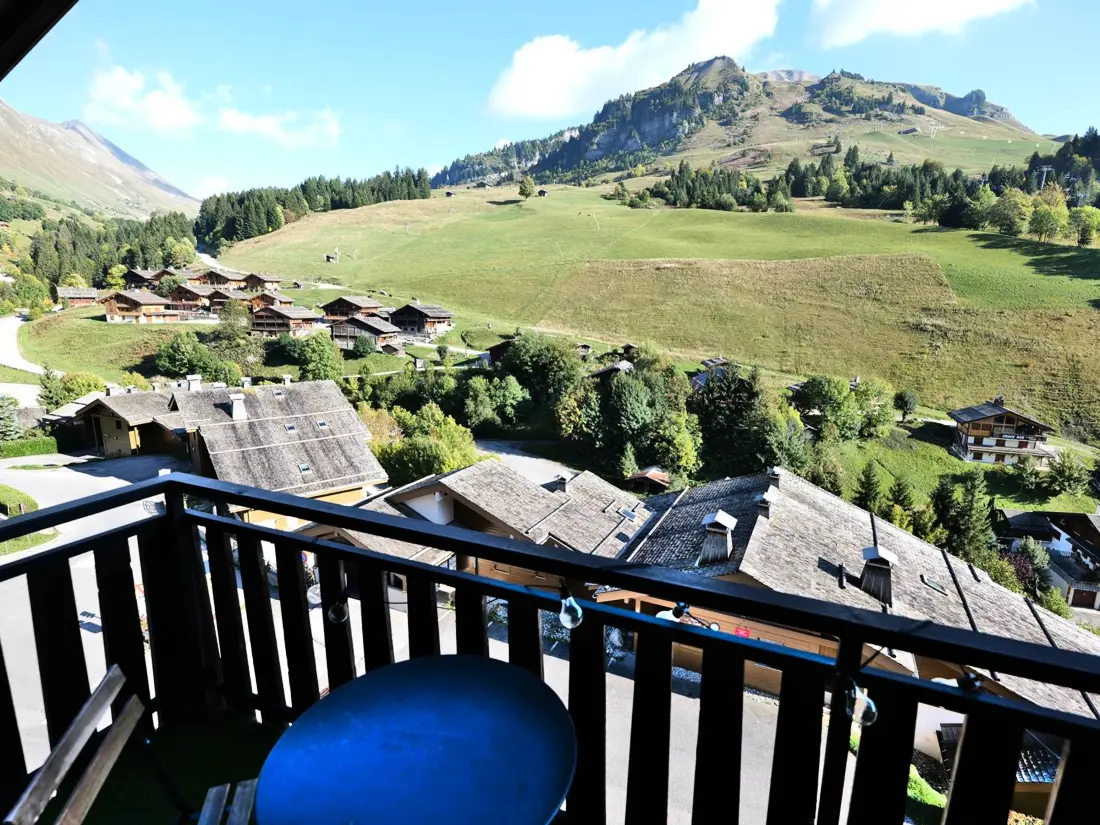 Location de Vacances Le Grand-Bornand 228