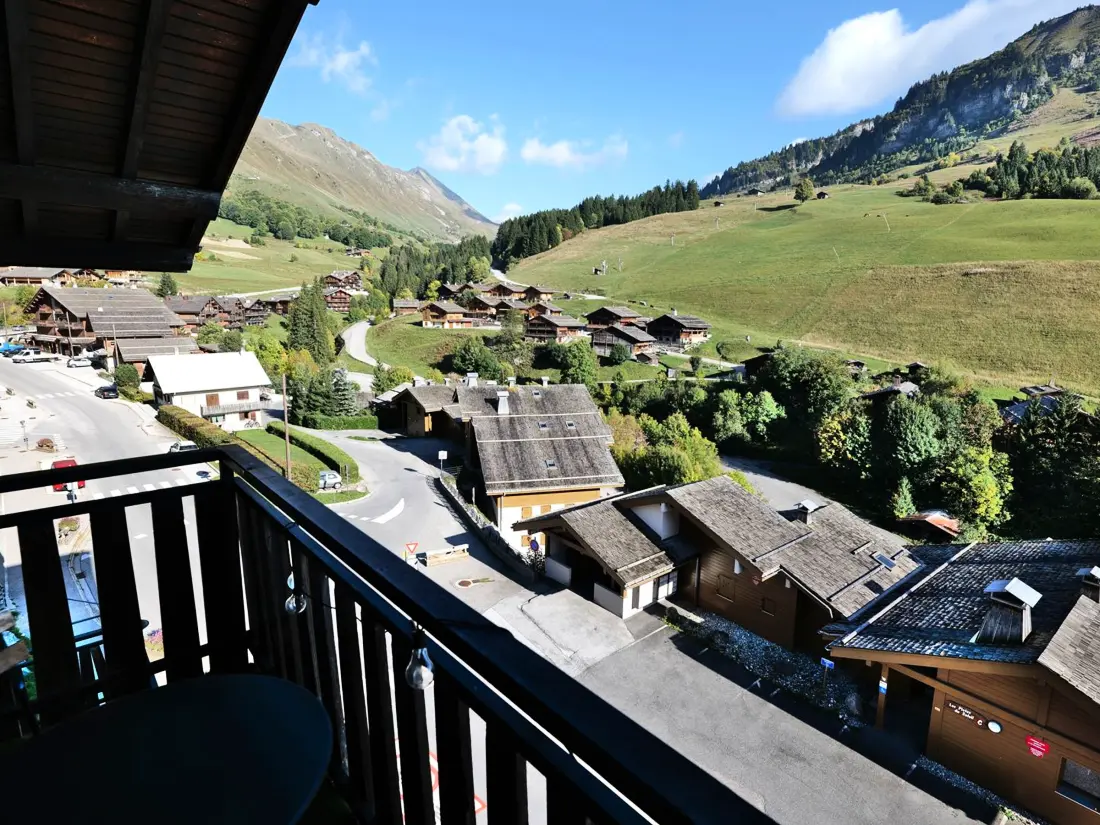 Location de Vacances Le Grand-Bornand 228