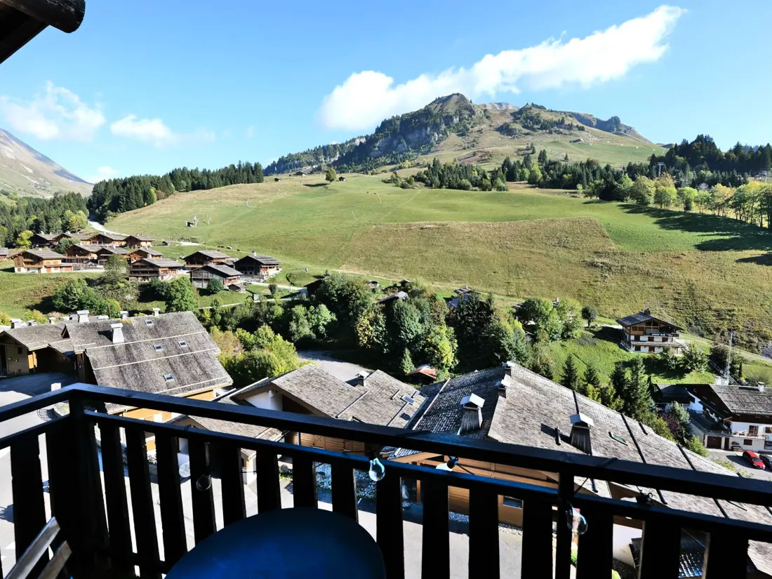 Location de Vacances Le Grand-Bornand 228