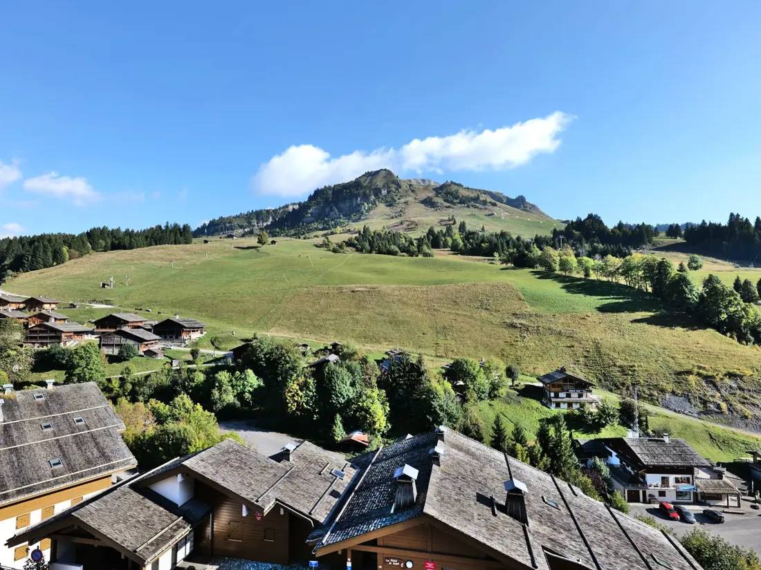 Location de Vacances Le Grand-Bornand 228
