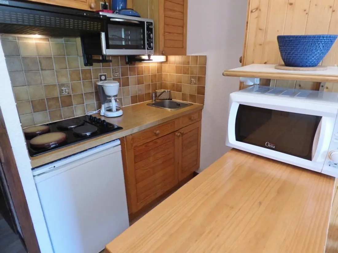 Location de Vacances Le Grand-Bornand 231