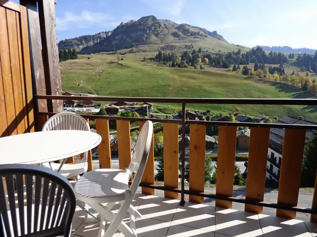 Location de Vacances Le Grand-Bornand 231