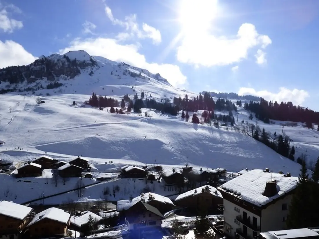 Location de Vacances Le Grand-Bornand 231