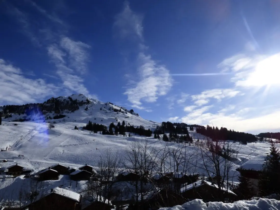 Location de Vacances Le Grand-Bornand 231