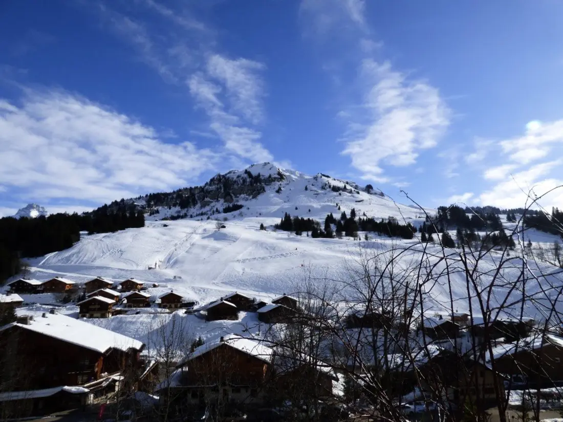 Location de Vacances Le Grand-Bornand 231