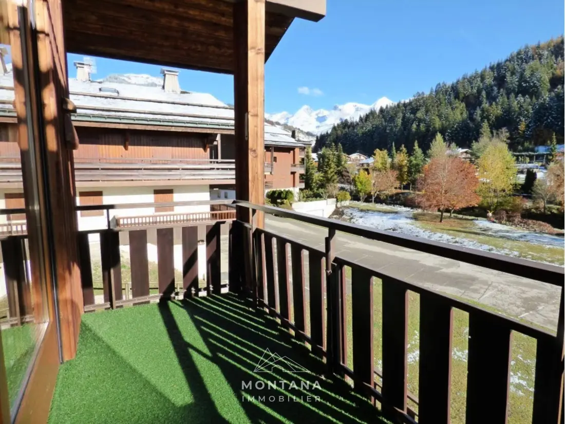 Location de Vacances Le Grand-Bornand 232