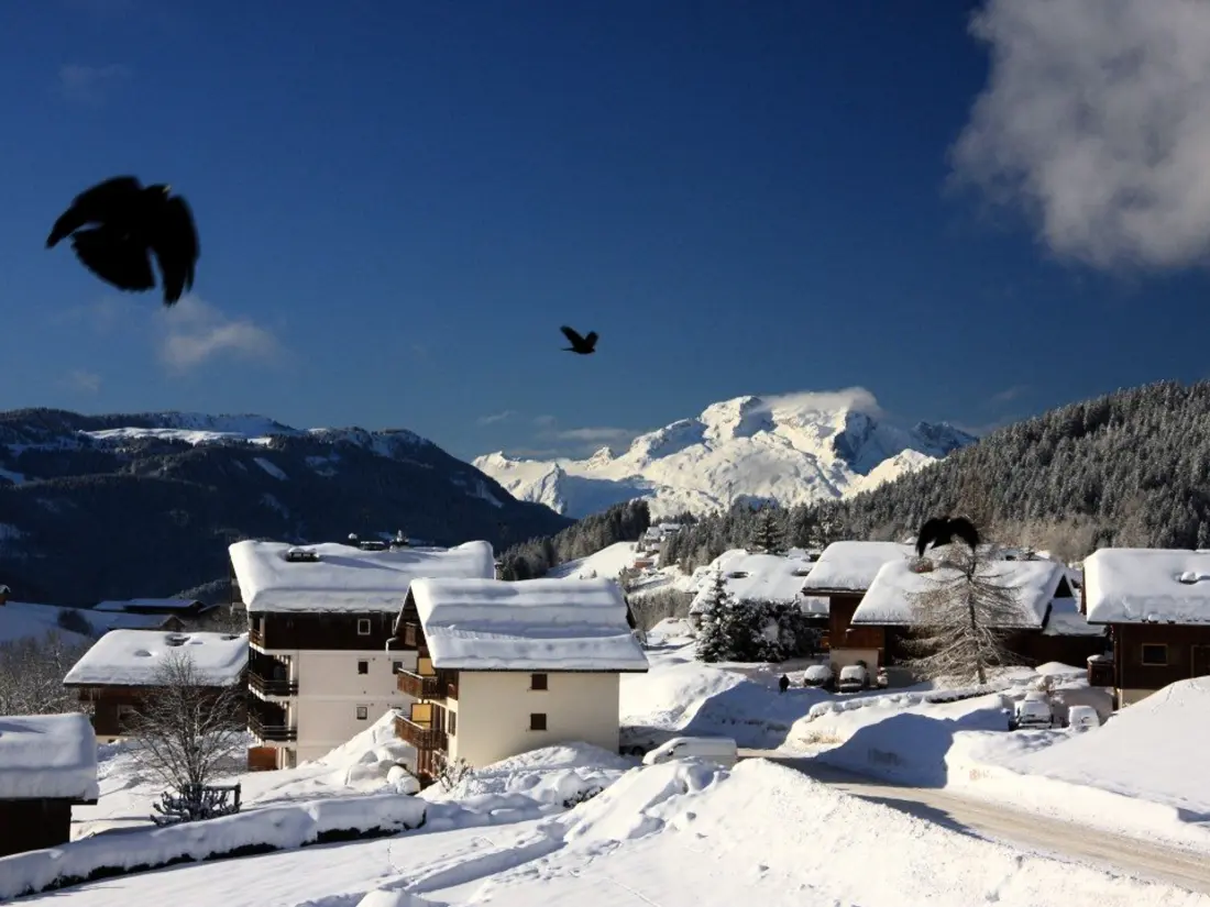 Location de Vacances Le Grand-Bornand 233