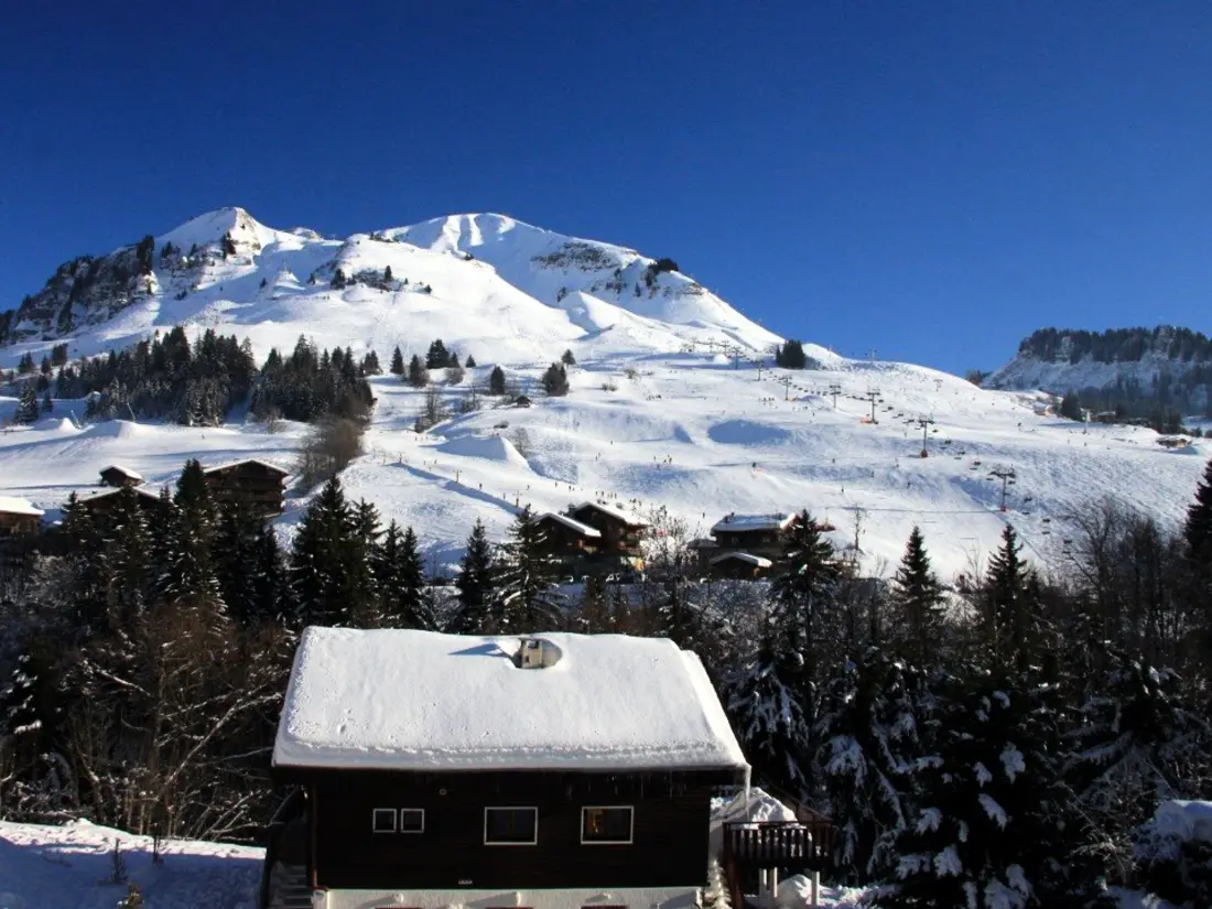 Location de Vacances Le Grand-Bornand 233