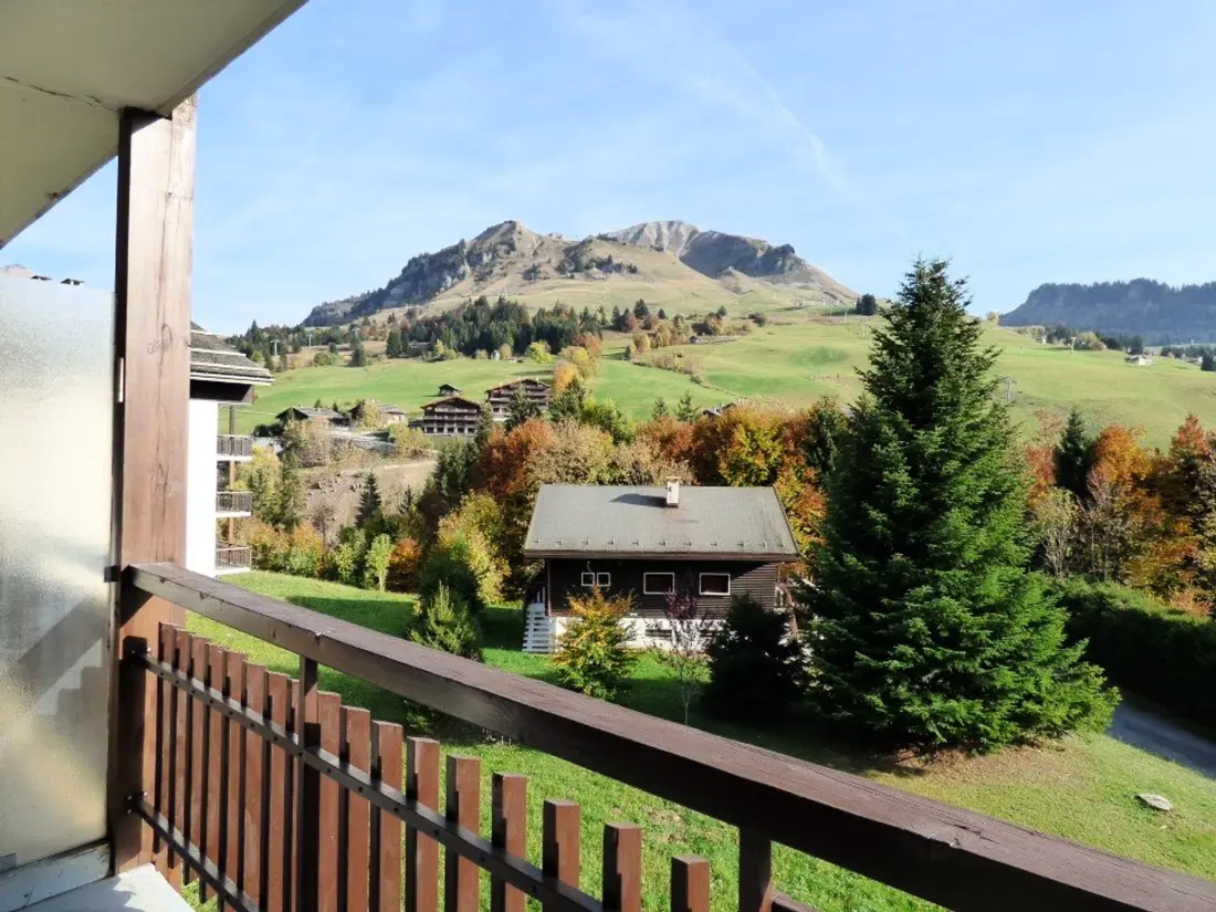 Location de Vacances Le Grand-Bornand 233