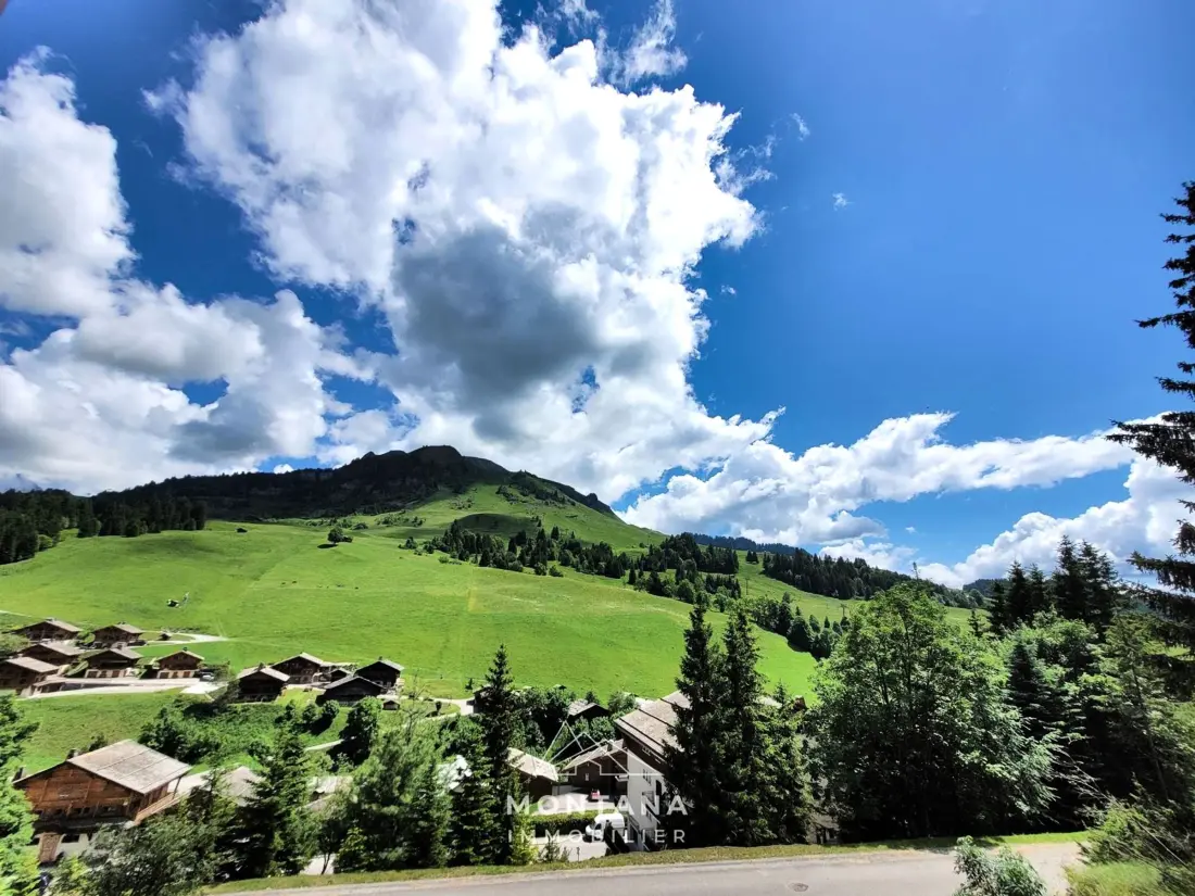 Location de Vacances Le Grand-Bornand 235
