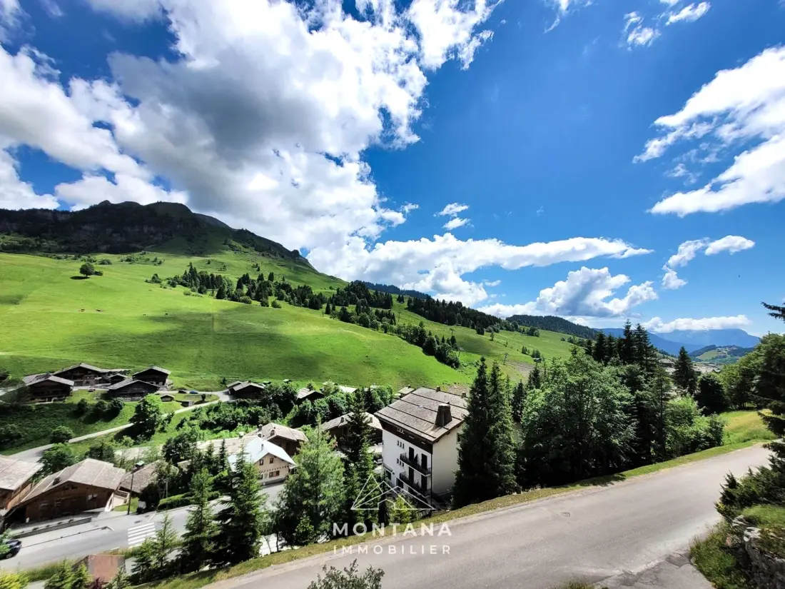 Location de Vacances Le Grand-Bornand 235