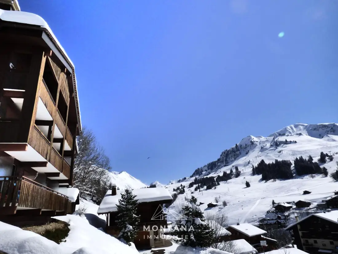 Location de Vacances Le Grand-Bornand 235