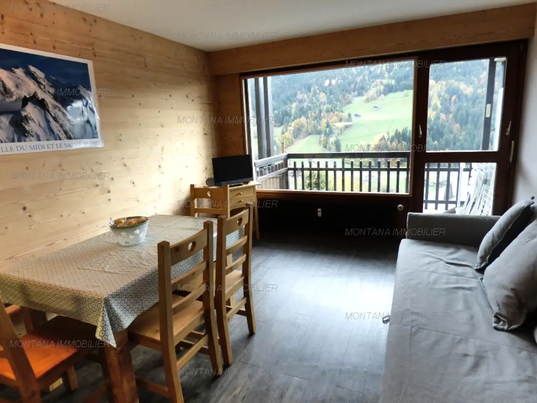 Location de Vacances Le Grand-Bornand 236