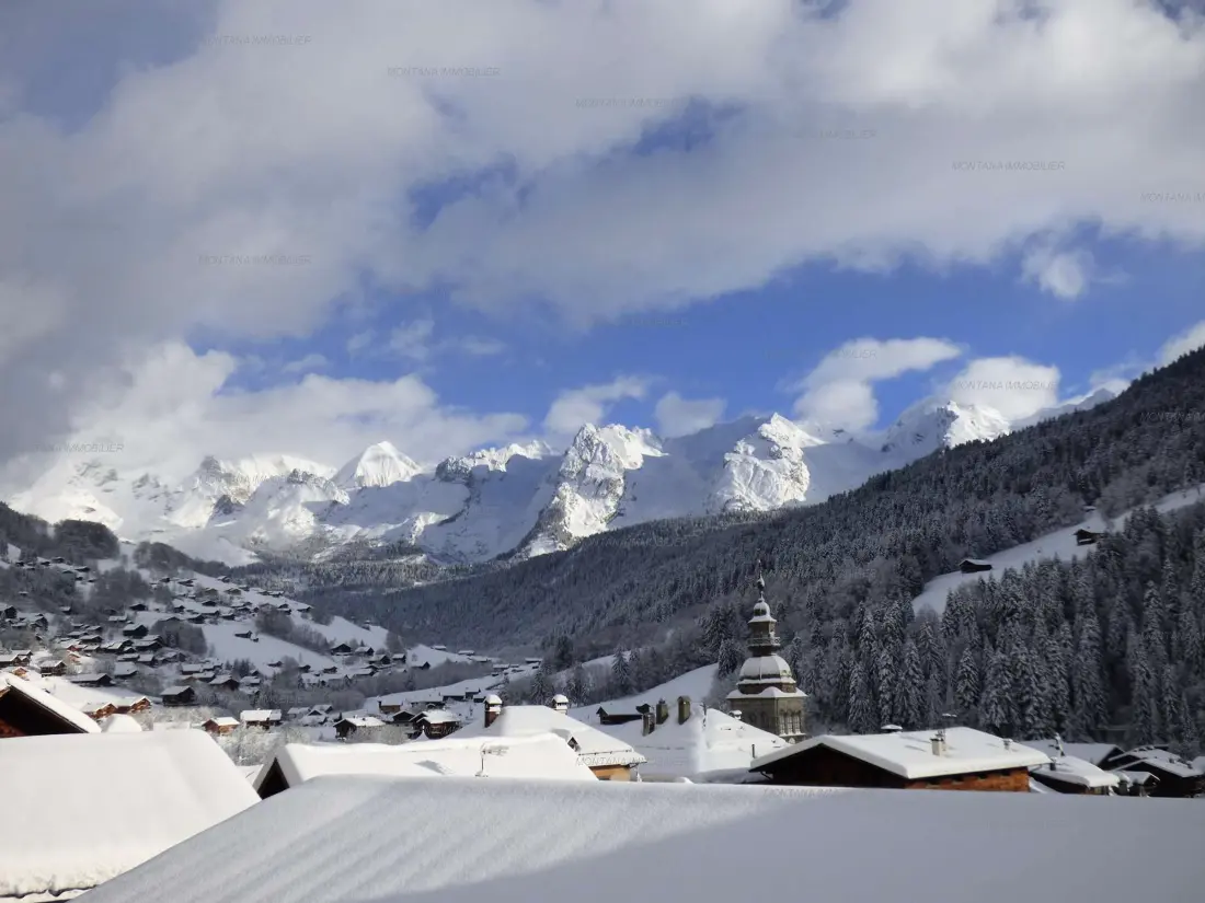 Location de Vacances Le Grand-Bornand 236