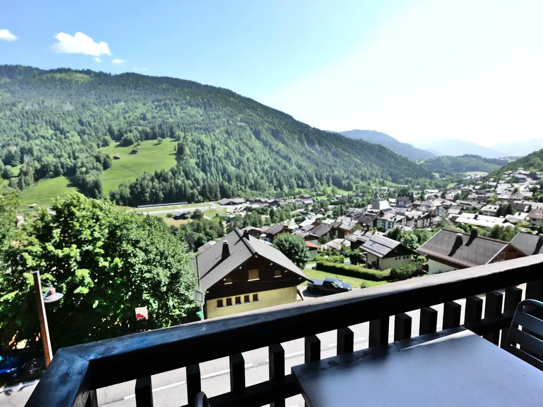 Location de Vacances Le Grand-Bornand 237