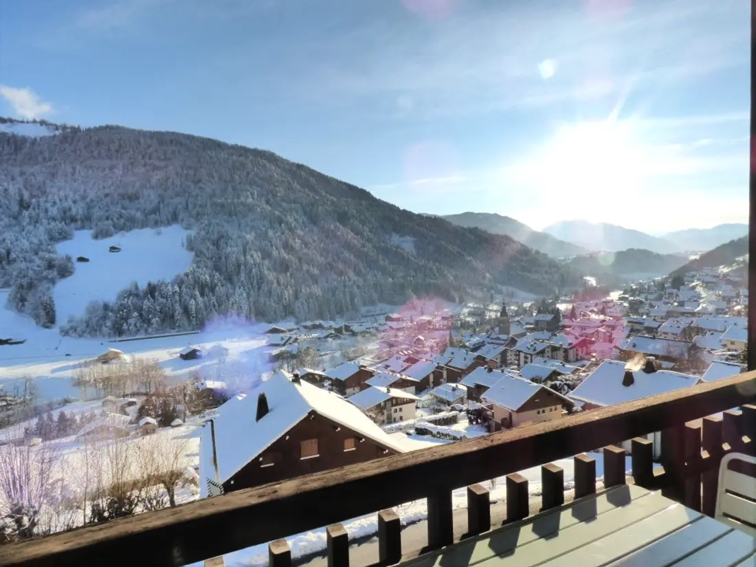 Location de Vacances Le Grand-Bornand 237