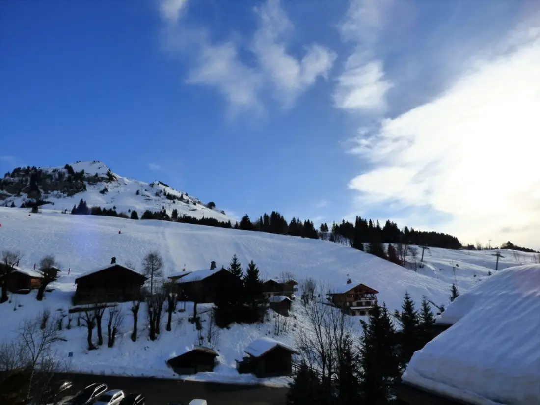Location de Vacances Le Grand-Bornand 245