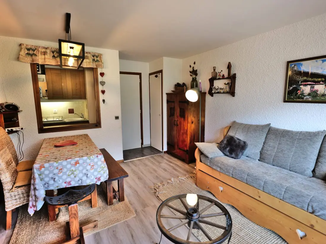 Location de Vacances Le Grand-Bornand 246